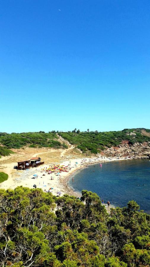 Agriturismo Porticciolo Porto Conte Kültér fotó